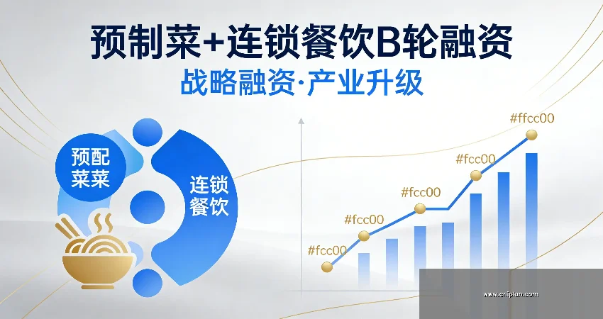 连锁餐饮品牌扩张融资计划