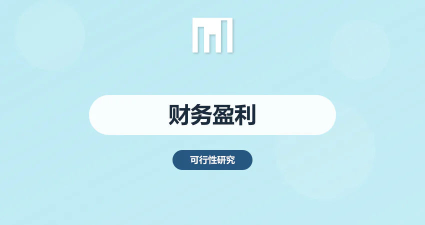 财务分析盈利测算报告服务