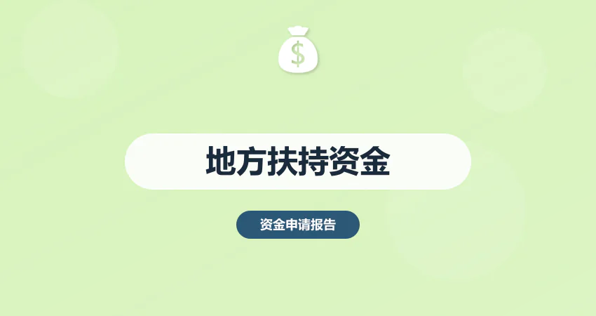 地方扶持资金申请报告