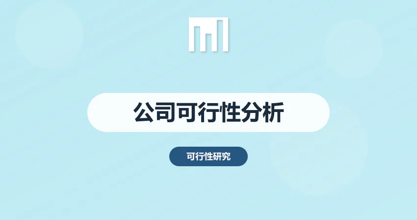 公司可行性分析报告