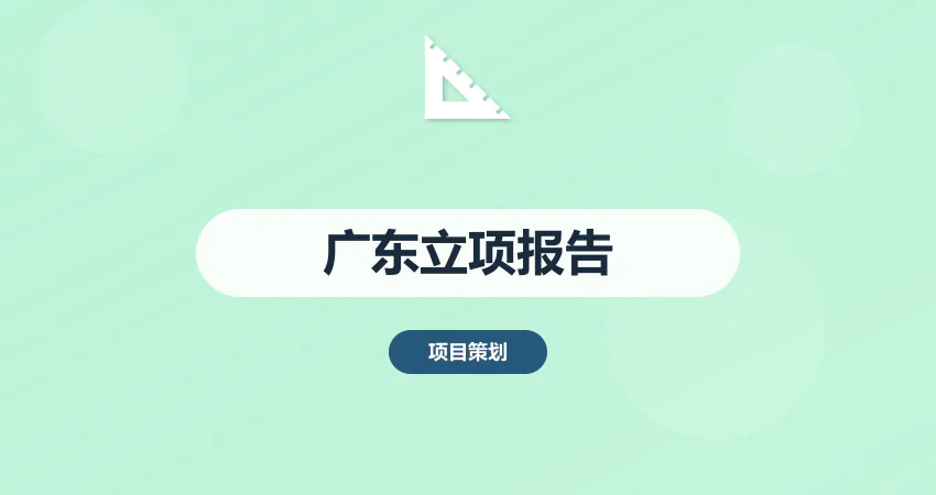 广东项目立项报告代写
