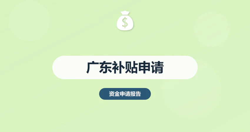 广东政府补贴申请报告代写