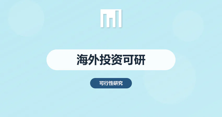 海外投资项目可行性研究报告 | 中撰咨询跨境服务专家​