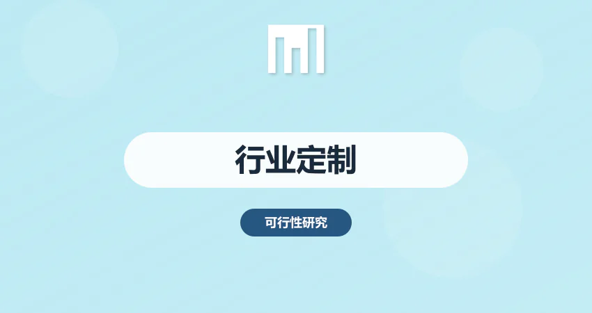行业定制化项目报告
