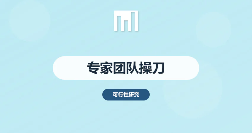可行性研究报告专家团队：经济学家+行业分析师联合操刀 | 中撰咨询​