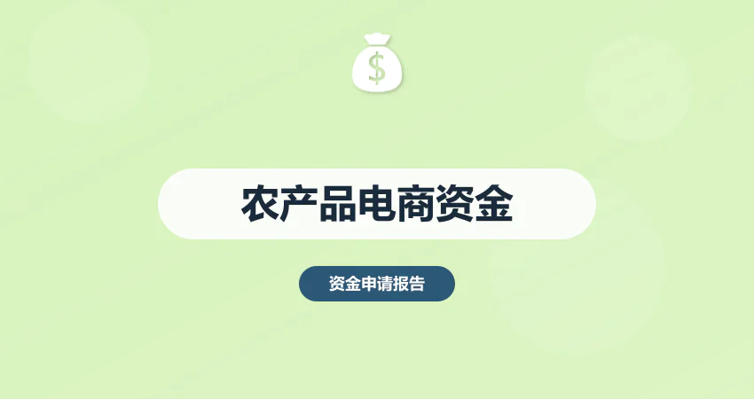 农产品电商项目资金申请报告