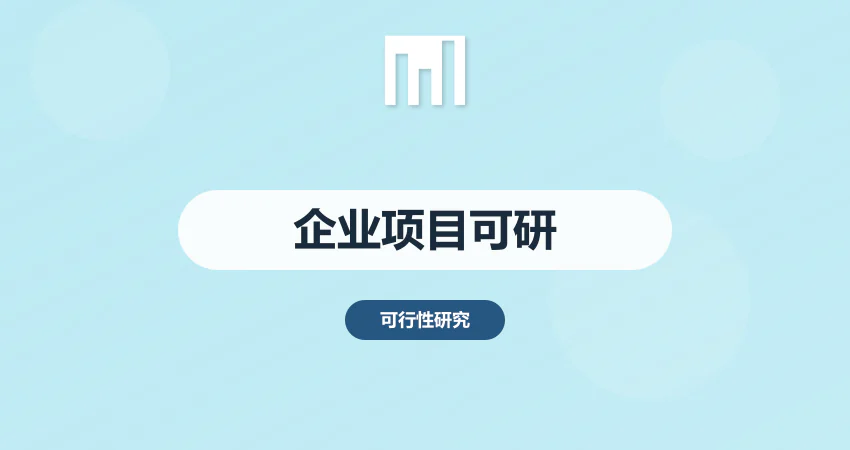 企业项目可行性报告