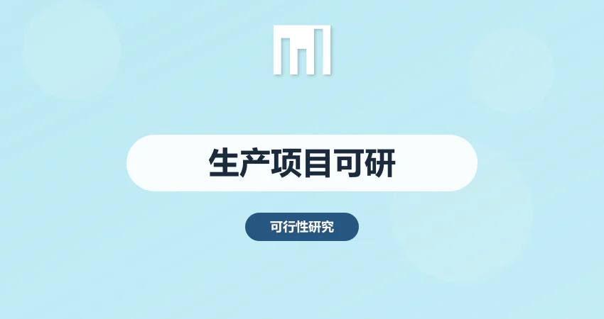 生产项目可行性报告