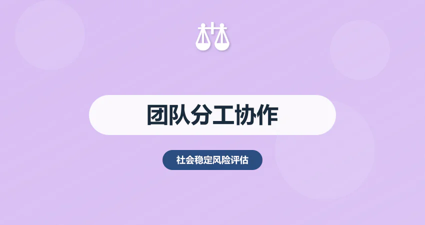 稳评报告团队分工：调研 + 撰写 + 审核全流程协作