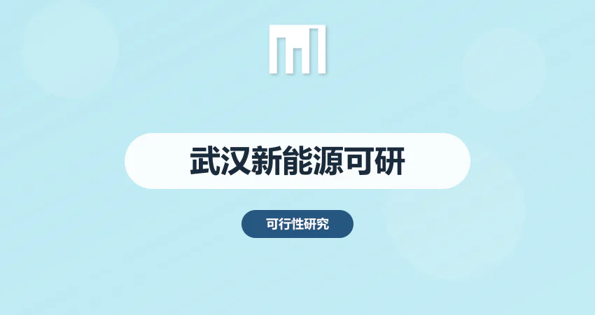 武汉可行性研究报告 新能源项目编制要求