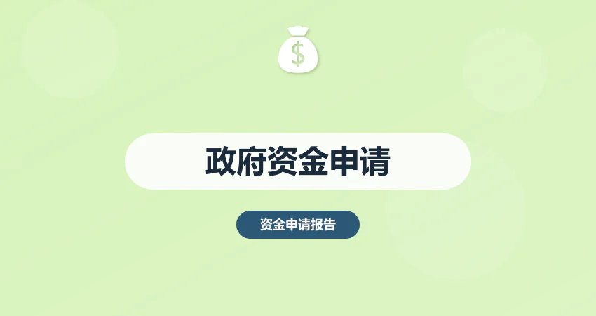 政府资金申请报告代写
