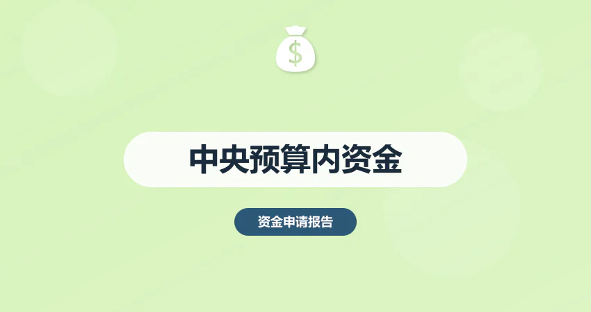 中央预算内资金申请报告代写