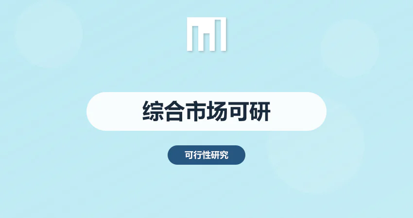 综合市场可行性报告