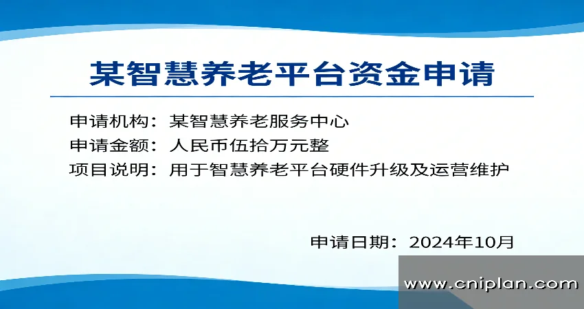 智慧养老平台资金申请